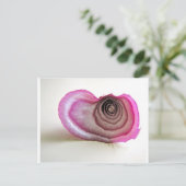 Carte Postale Couches d'oignon (Debout devant)