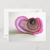 Carte Postale Couches d'oignon (Devant / Derrière)