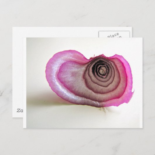 Carte Postale Couches d'oignon (Devant / Derrière)