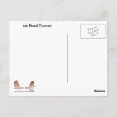 Carte Postale Coucou terrestre de glace (Dos)