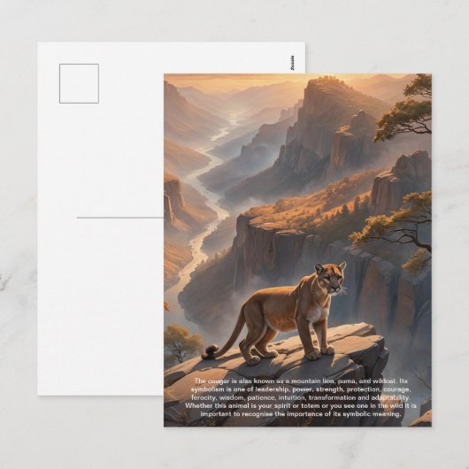 Carte postale Cougar (Devant / Derrière)