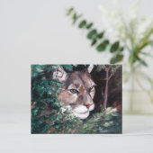 Carte postale Cougar (Debout devant)