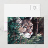 Carte postale Cougar (Devant / Derrière)
