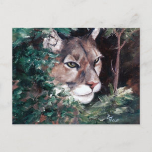 Carte postale Cougar