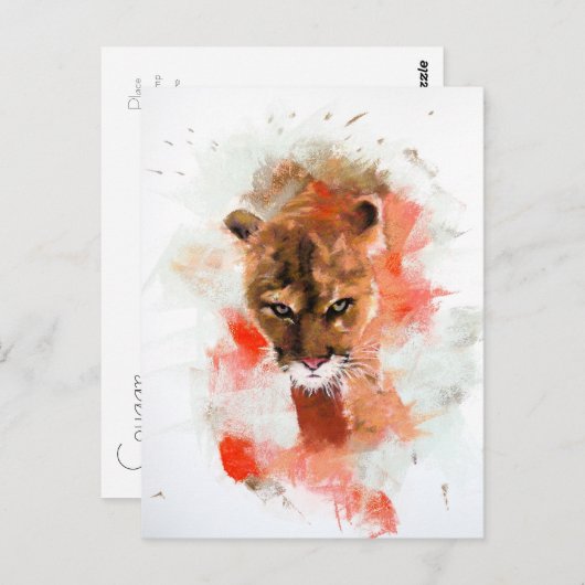 Carte Postale Cougar (Devant / Derrière)