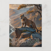 Carte postale Cougar (Devant)