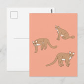 Carte Postale Cougar (Devant / Derrière)