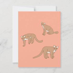 Carte Postale Cougar