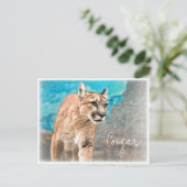 Carte Postale Cougar ポストカード (Debout devant)