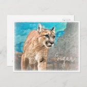 Carte Postale Cougar ポストカード (Devant / Derrière)