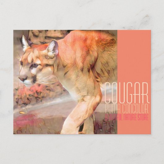 Carte Postale Cougar [Carte postale] (Devant)