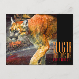 Carte Postale Cougar [Carte postale]