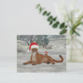 Carte Postale Cougar de Noël avec canapé (Debout devant)