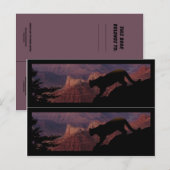 Carte Postale Cougar et le Grand Canyon (Devant / Derrière)