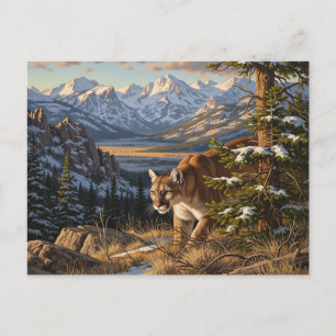 Carte Postale Cougar in Rocky Mountain National Park Voyage