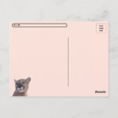 Carte postale Cougar Majestic avec boîte d'identit (Dos)