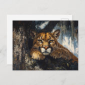 Carte Postale Cougar majestueux en forêt (Devant / Derrière)