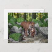 Carte Postale Cougar Mère Portant Cub (Devant / Derrière)