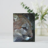 Carte postale Cougar Nature (Debout devant)
