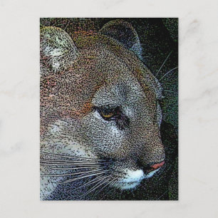 Carte postale Cougar Nature