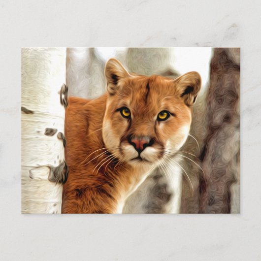 Carte Postale Cougar Photo Peinture (Devant)