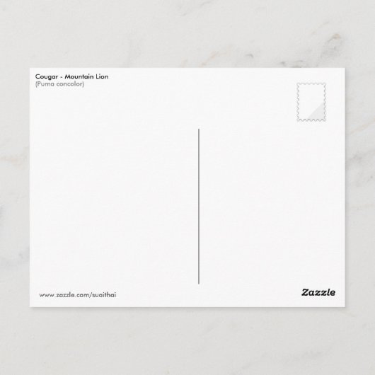 Carte Postale Cougar sauteur (Dos)