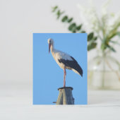 Carte Postale Coulée sur poteau (Debout devant)