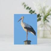 Carte Postale Coulée sur poteau (Debout devant)