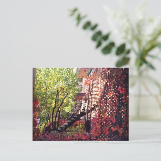 Carte Postale couleur (Debout devant)