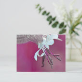 Carte Postale Couleur (Debout devant)