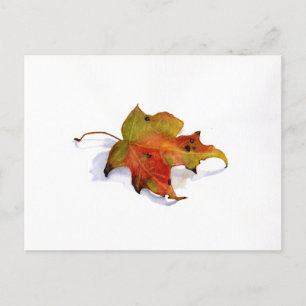 Carte postale Couleur aquarelle automne