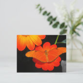 Carte Postale couleur coordonnée (Debout devant)