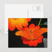 Carte Postale couleur coordonnée (Devant / Derrière)