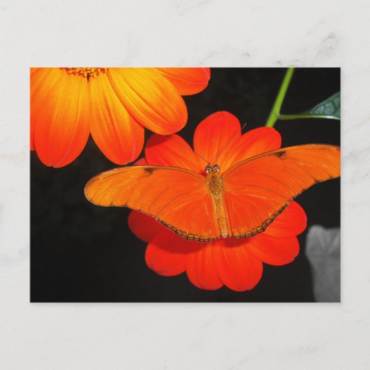 Carte Postale couleur coordonnée (Devant)