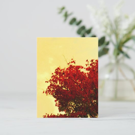 Carte Postale Couleur d'automne (Debout devant)