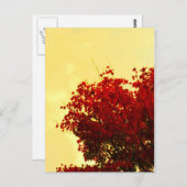 Carte Postale Couleur d'automne (Devant / Derrière)