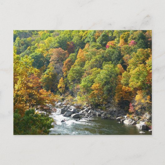 Carte Postale Couleur d'automne dans le parc d'état d'Ohiopyle (Devant)