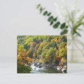 Carte Postale Couleur d'automne dans le parc d'état d'Ohiopyle (Debout devant)