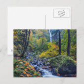 Carte Postale Couleur d'automne le long de Starvation Creek Fall (Devant / Derrière)