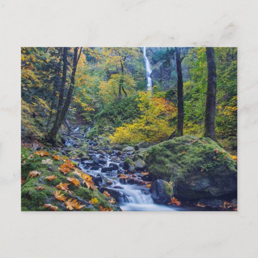 Carte Postale Couleur d'automne le long de Starvation Creek Fall (Devant)