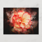 Carte Postale Couleur de fleur de Begonia - bb3 (Devant)