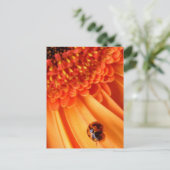 Carte Postale couleur de l'été (Debout devant)