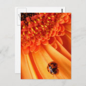 Carte Postale couleur de l'été (Devant / Derrière)