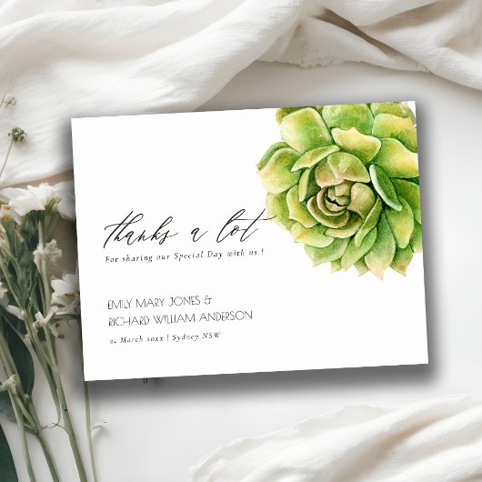 CARTE POSTALE COULEUR D'EAU VERTE VIBRANT MERCI SUCCULENT