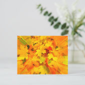 Carte Postale Couleur des feuilles automnales Couleurs automnale (Debout devant)