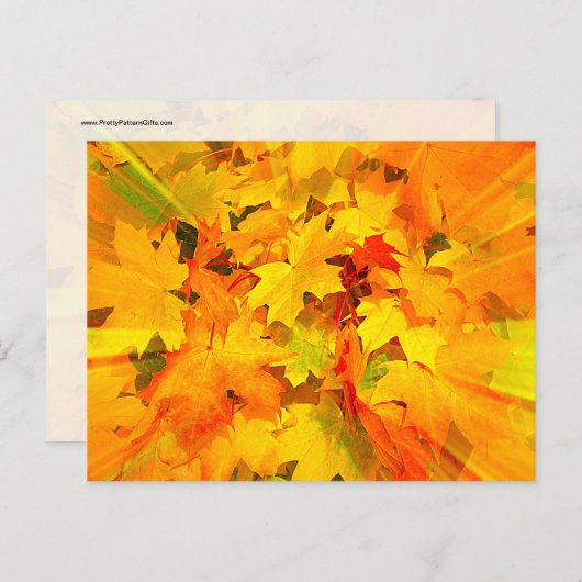 Carte Postale Couleur des feuilles automnales Couleurs automnale (Devant / Derrière)
