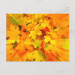 Carte Postale Couleur des feuilles automnales Couleurs automnale