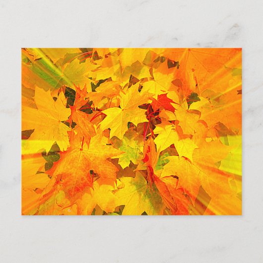 Carte Postale Couleur des feuilles automnales Couleurs automnale (Devant)