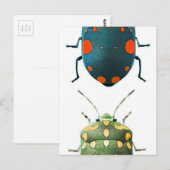 Carte Postale Couleur d'insectes (Devant / Derrière)