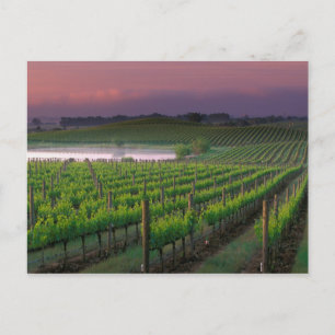 Carte Postale Couleur du lever de soleil dans le brouillard loin